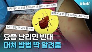 소문만 무성한 빈대… 방역 전문가에게 팩트체크 해 봄! ｜크랩