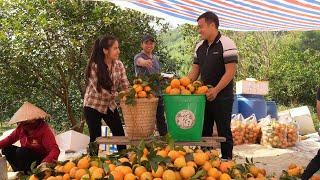 Doctor Long and Tu Yen harvest oranges together and prepare a surprise for Doctor Long's mother.