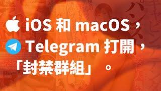 🈲 在 iOS 和 macOS 的 Telegram 客户端打开查看包含「敏感内容」的群组。