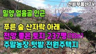 밀양토지(184) 밀양 얼음골인근 산자락아래 선비부동산055-354-8757 전망좋은토지 주말농장 텃밭 전원주택지 강조망#밀양부동산매물#밀양부동산#밀양촌집#밀양농막