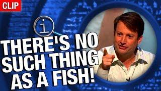 QI | No Such Thing As A Fish