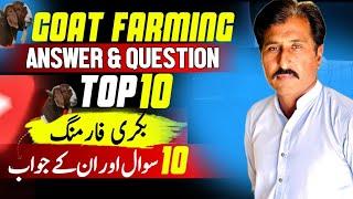 10 important questions about goat farming||bakri farming k 10 sawal||DHOOL GOAT FARM