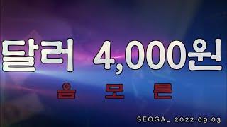 서가경제 달러(환율) 달러 달러 달러 달러