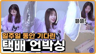 기다리고 기다리던 택배가 왔다 Hyotpick  봄맞이 택배 언박싱! (Unboxings)