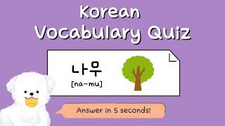 Korean Vocabulary Quiz for Beginners