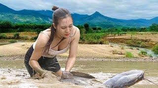 Catching big fish in the swamp - Hard work - Cooking smoke-dried fish | Ngân Daily Life