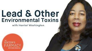 How Lead And Other Environmental Toxins Are Affecting Us