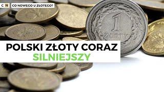 PLN zyskuje w tym tygodniu względem głównych walut! | Kurs euro, dolara, franka i funta | 05.08