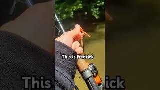 Comment Fredrick! #fish #fishing #fredrick