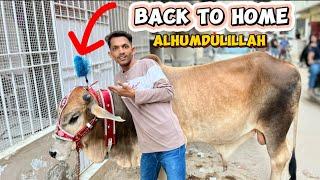 Mere Jaan Agye | Phir Se Apne Ghar | Alhumdulillah ️Back To Home 