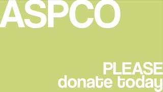 ASPCO: Call for Donations