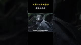 兄弟们一定要警惕老斑鸠化债 #名場面 #離譜操作 #雜談