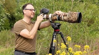 How to Photograph Warblers - Tips for Capturing the Sedge Warbler (Canon R6 & EF 500mm F/4 Lens)