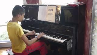 Rishi Narayan Beethoven's 'Fur Elise'