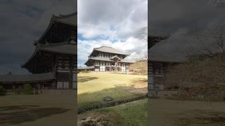 奈良東大寺 | 有鹿群的壯觀寺院 | Tōdai-ji