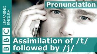 Pronunciation: Assimilation of /t/ and /j/