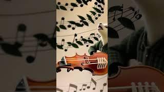 Music Adventure - AI generated Movie - #shorts #stablediffusion #ai #gpt #gpt4 #animated