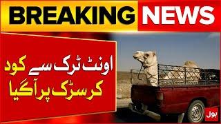 Eid Ul Adha 2025 | Camel Jump Out From Truck | Latest Updates | Breaking News