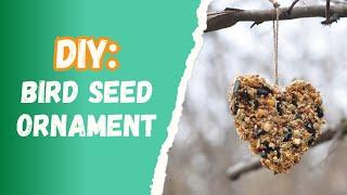 DIY Bird Seed Ornaments