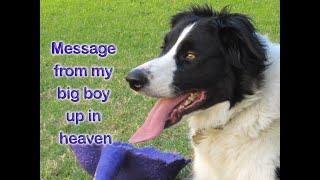 Message from my dog up in Heaven - Rainbow Bridge