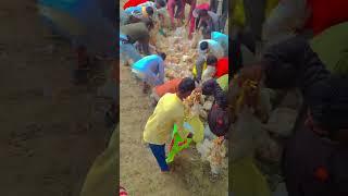 Janata ka Seva #bhojpuri  #song  #music  #sad  #newsong  #lalepalangiya  #chhathpuja  