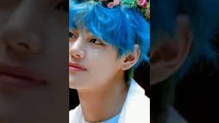 Kim Taehyung [ V ]