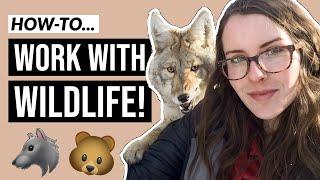 How to Become a Wildlife Biologist (in 5 minutes)