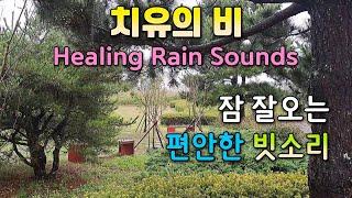 Fall asleep quickly to the sound of rain that helps you sleep / Rain sound that is good for insomnia