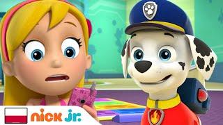 Psi patrol | Marshall jest sam w domu? | Nick Jr.