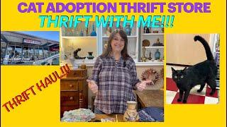 Super Cute Thrift Store and Super Cute Cat for Adoption! Thrift with me and meet Felix the Cat!!