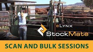 eLynx StockMate Tutorial 4 - Running scan and bulk sessions using the StockMate Android App