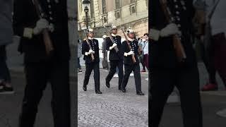 The Swedish guards