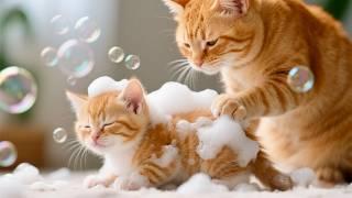 Mama Cat’s Love Will Melt Your Heart #family #cat #kitten #catlovers #catfamily #猫 #猫動画 #cutecat #猫咪