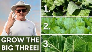 3 Powerhouse Veggies You Need to Be Growing!