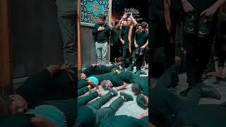 شعيرة الزحف المقدسة حرم السيدة #فاطمة المعصومة #قم المقدسة