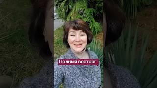 Свободный график  работы #онлайнбизнес #заработокстелефона #заработокдома #доходвинтернете #доход