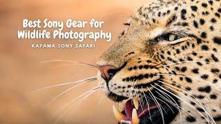 On Safari with Sony Alpha