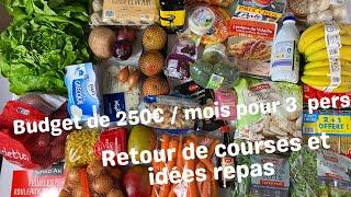 Retour de courses petit budget : 20€ / semaine et idées repas