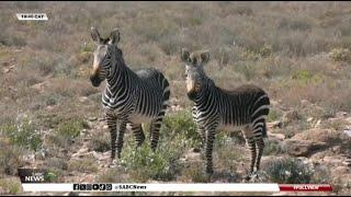 SANParks Week | Mountain Zebra National Park: Vuyani Dial