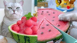 Cat Cooking Food ASMR || Watermelon Smoothie, Summer Favorite Drink