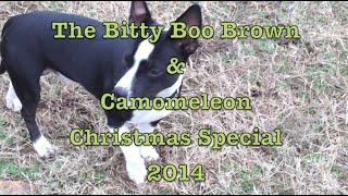 The Bitty Boo Brown & Camomeleon Christmas Special 2014 (Part 3)