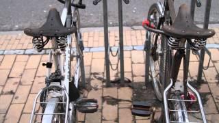 International Experience: Groningen