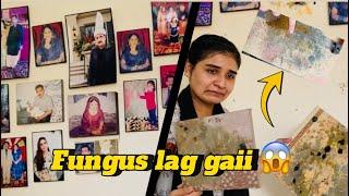 Sab pictures ph fungus lag gai || wall b kharab || Qazalbash’s Vlogs