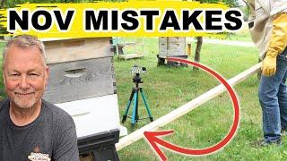 Beekeeping | 3 November BIG TIME Mistakes To Avoid