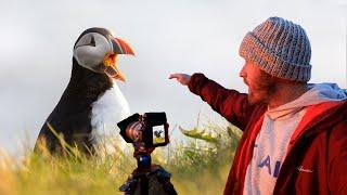 I FINALLY Photograph PUFFINS