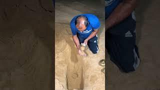 Jai shree sawariya Seth ji #Mahadew #Mahakal #@kr haunted vlog