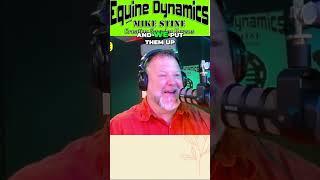 Discover the Magic of Equine Dynamics Visuals, Fun, and More! #podcast #equinenutrition #horseriding