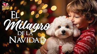 El milagro de la Navidad | Película Cristiana