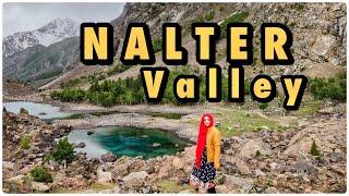 Most Beautiful Lakes In Naltar Valley | Trek to Feroza Lake | Complete Travel Guide | MisaTalpur