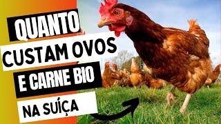 Farm in Switzerland / Price of eggs and meat BIO / FARM/ AGRO